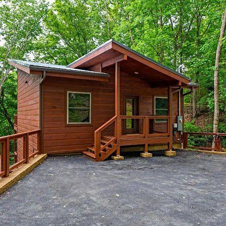 New Cozy Mountain Cabin Hot Tub Near Downtown Гатлинбург Экстерьер фото