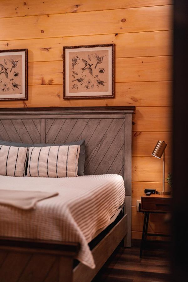 New Cozy Mountain Cabin Hot Tub Near Downtown Гатлинбург Экстерьер фото